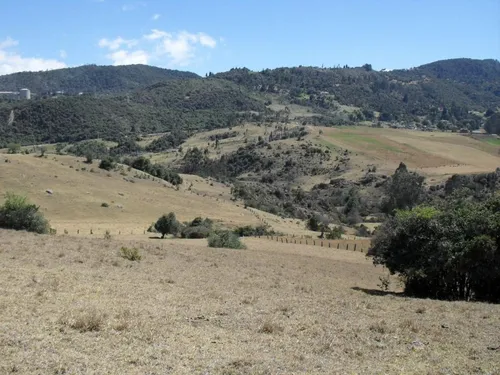 Lote En Venta En La Calera. Cod V1614270
