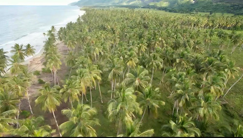 Terreno Con Playa De Venta En Samana