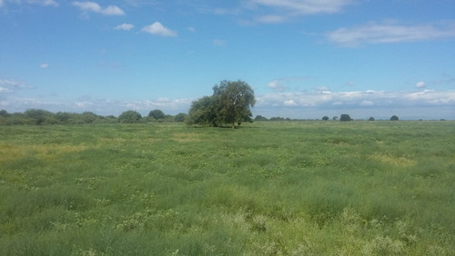 Imagen 14 de 30 de Se Vende Campo En Cordoba Listo Para Trabajarlo