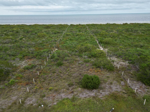 Terreno En Venta, Frente A Playa En San Crisanto, Yucatán