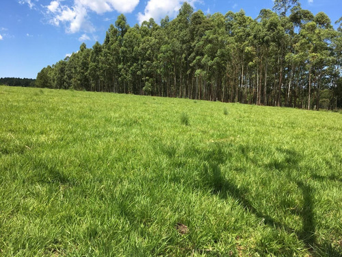Imagen 16 de 21 de Lote En Venta 1219m2 En Puerto Rico - Loteo Clemens Blick