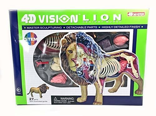 Juego Educativo De Cienci 4d Vision Lion Anatomy Model - Med