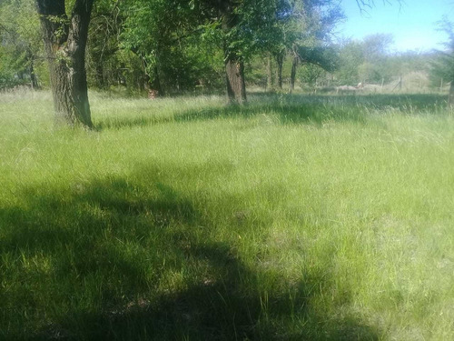 Imagen 4 de 10 de Los Reartes Vendo 2 Terrenos Juntos De 1100m2 Cada Uno