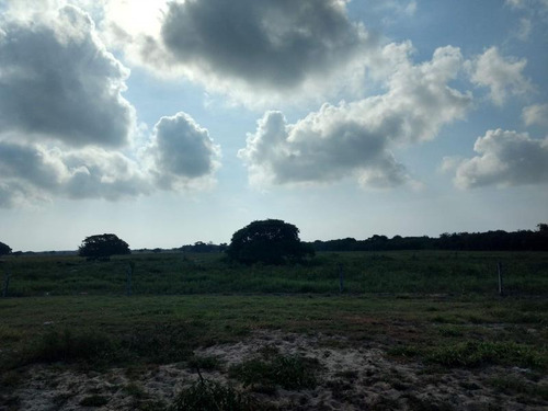 Venta Rancho 150 Hectareas Frente Laguna Tamiahua Veracruz