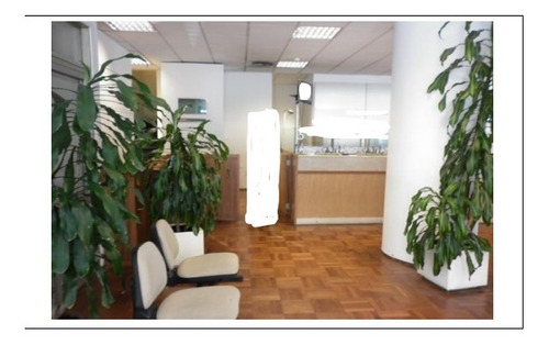 Imagen 6 de 13 de Venta Local Sobre Avda De Las Leyes 554 M2 Ref 559