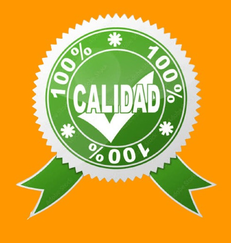 Oasis Espuma Floral Con Base De Plástico 1 Pz