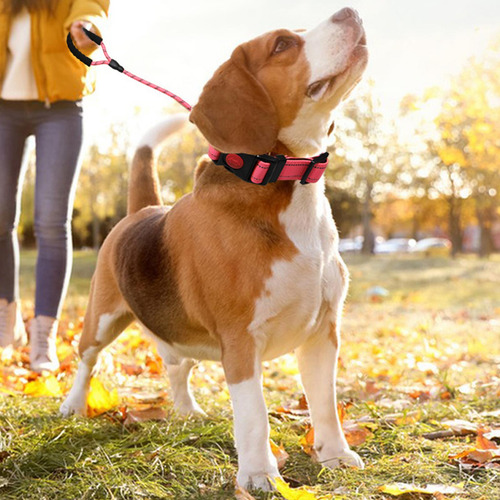 Cuerda De Tracción Para Perros Correa Para Mascotas