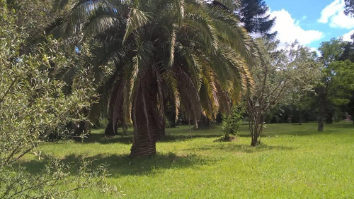 Imagen 5 de 6 de Lotes En Venta Con Financiacion - San Vicente