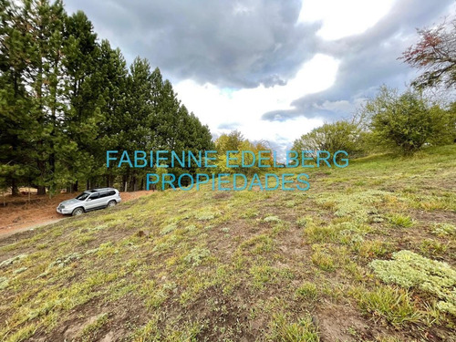 Imagen 19 de 20 de Terreno 2000 M2 En Peñon Del Lolog - San Martin De Los Andes