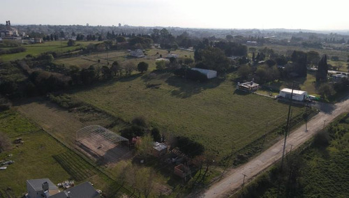 Imagen 4 de 8 de Terreno De 17.000 M2 En Zona De Quintas - Oportunidad !