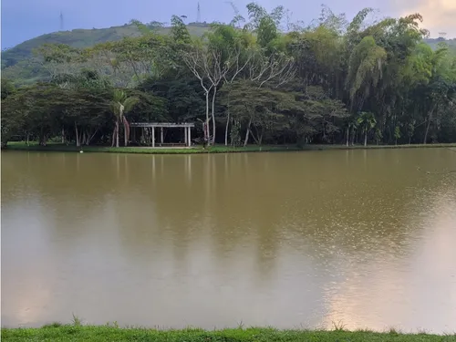 Venta Lote En Vereda Rio Claro De 1523mt2 En Jamundí, Valle 6476.