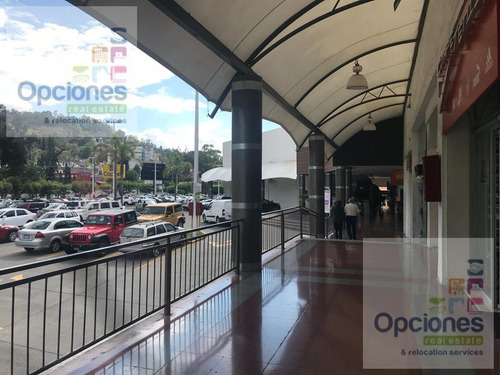 Imagen 7 de 8 de Local - Morelia