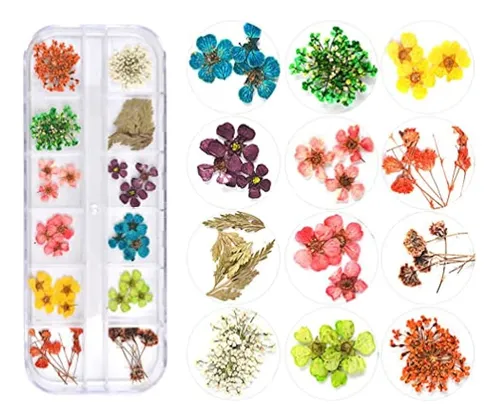 Teoyall 24 Colores De Flores Secas Para Arte De Uñas, 2