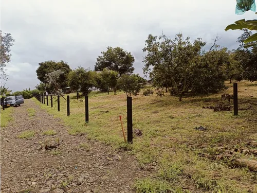 Se Venden Lotes En Quimbaya - Quindío