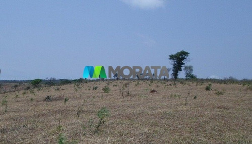 Imagem 1 de 15 de Fazenda - Zona Rural - Ref: 4350 - V-mta4350