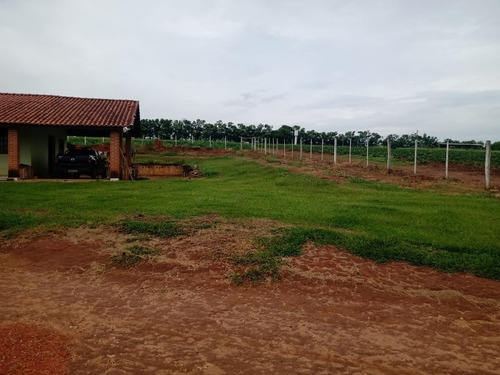 Sítio 5,5 Alqueires Rico Em Agua,localização Nobre,2 Casas Boas,4 Dorms Cada,4 Kms Do Asfalto,terra Fértil,vermelha,muitas Benfeitorias - St00053 - 69181042