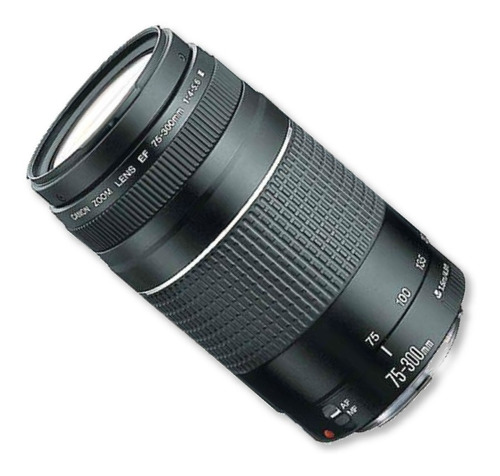 Lente Canon Zoom 75-300 Mm F/4-5.6 Iii Original Garantía 1 Año