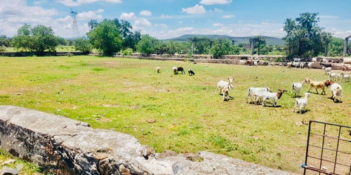 Terreno Plano Venta Ideal Para Desarrollo De Vivienda/industrial/agrícola Tv348