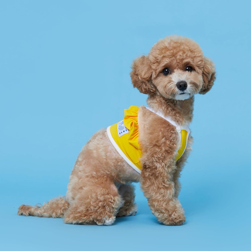 Flot Designer Dog Crop Top Materials Premium Ajustado Diseña