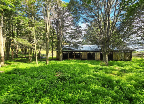 Se Vende Campo De 60 Hectáreas En El Sector Lago Pollux