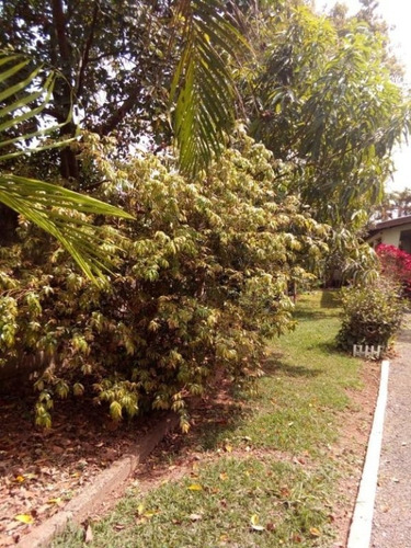 Imagem 3 de 23 de Chácara Em Chácara Cruzeiro Do Sul, Sumaré/sp De 1066m² 3 Quartos À Venda Por R$ 590.000,00 - Ch613746-s