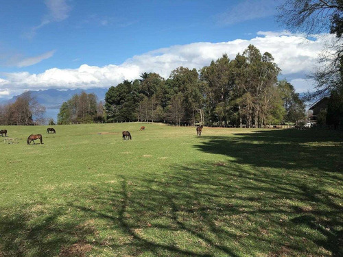 Pucón, Ribera Norte Lago Villarrica Parcelas En Venta