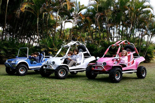 Mini Buggy - Gaiolinha Gaiola- Mini Bugg - Buguinho Fapinha