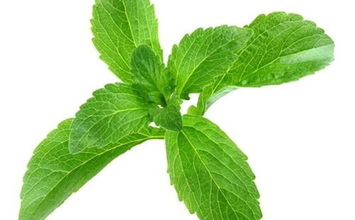 Imagen 2 de 3 de Stevia Hojas Prepicado 1kg Envio Gratis!!