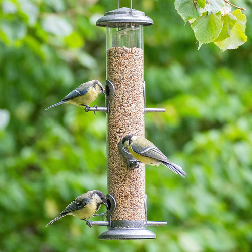 Comedero Metálico Para Pájaros Iborn, Colgador De Semillas P