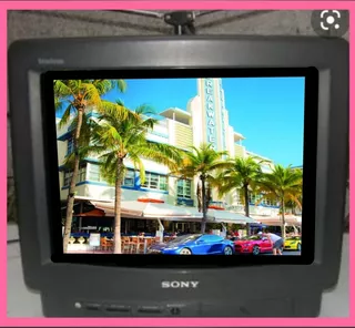 Televisor Sony 14 Colores Con Control Remoto Y Antena