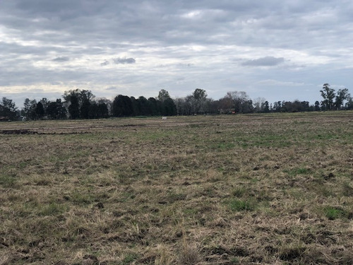 Loteo La Eugenia By Moradas Venta De Lotes Con Amplia Financiacion En Ezeiza