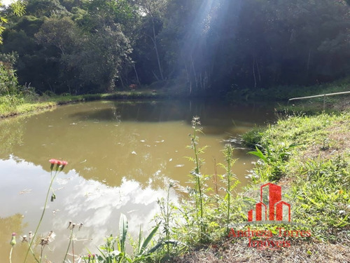 Imagem 10 de 25 de Sítio Sítio À Venda Em Lagoinha/sp - 1353