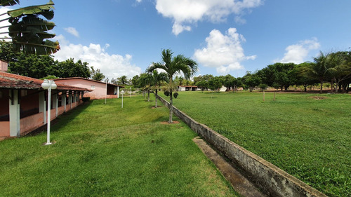 Granja Em Ceará-mirim/rn, Apenas 38km De Natal. Rio Perene