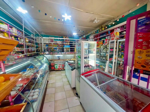 Venta Propiedad Comercial Y Habitacional En Recoleta
