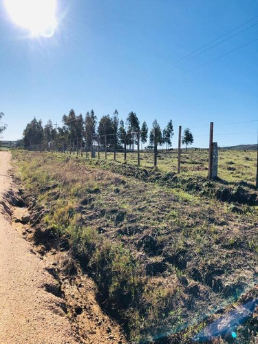 Chacra - José Ignacio