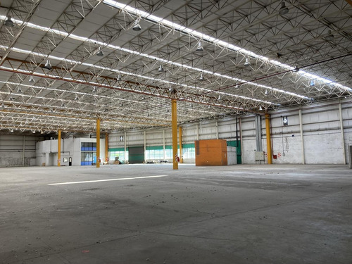 Imagen 8 de 27 de Depósito 6.000m2 - Rosario