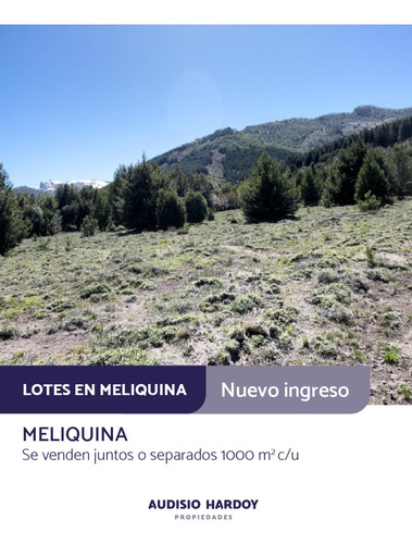 Lote En Meliquina De 1000 M2 Con Todos Los Servicios. Terrenos Completamente Planos. 2 Unidades Que Se Venden Juntas O Separados