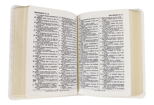Imagen 5 de 5 de Biblia Rvr-1960 Manual Imitación Piel Blanca (para Boda)
