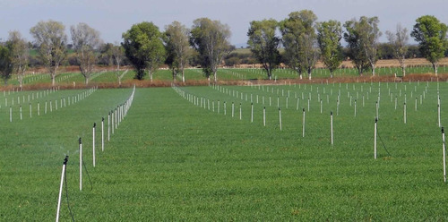 Aspersor Senninger Xcel Wobbler Angulo Bajo Agricola 8 Pzas