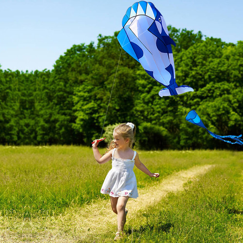 Flying Kite 3d, Enorme Baleia De Parafol Macia Sem Moldura