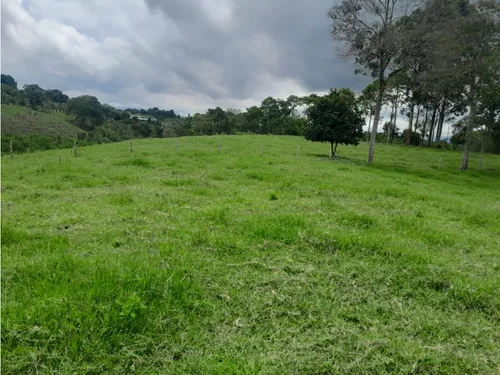 Venta Finca Montenegro Sector Vereda Pueblo Rico - 11 Cuadras