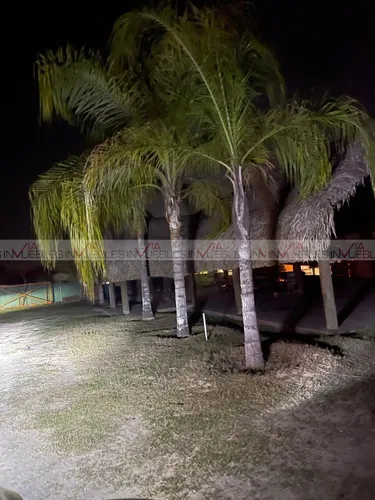 Palmitos Cadereyta