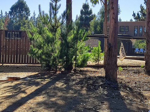 Vende Casa Entre Algarrobo Y El Quisco, De 4 Dormitorios Y 3