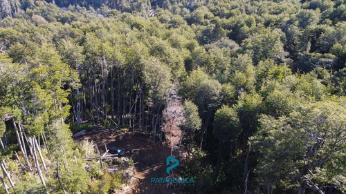 Venta Terreno Uf 2b, Apto 3 Uf, 4091m2, Con Vista Al Lago En Barrio Exclusivo Cota Mil