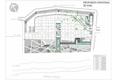 Imagen 4 de 21 de Lote Residencial Frente A La Playa En Nuevo Fracc. El Zapota