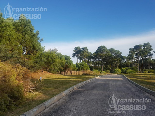Imagen 14 de 20 de Terreno - Club Del Lago