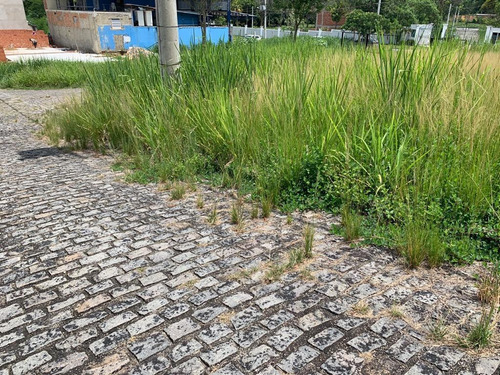 Imagem 7 de 15 de Terreno Para Venda Em Rio De Janeiro, Santíssimo - 011_2-179827