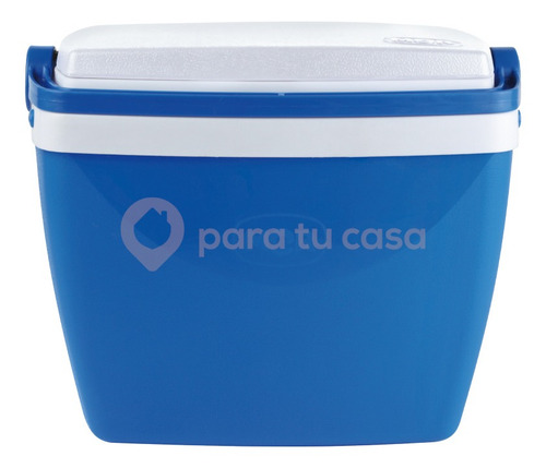 Lunchera Heladerita Conservadora Camping Escolar 6 Lts.
