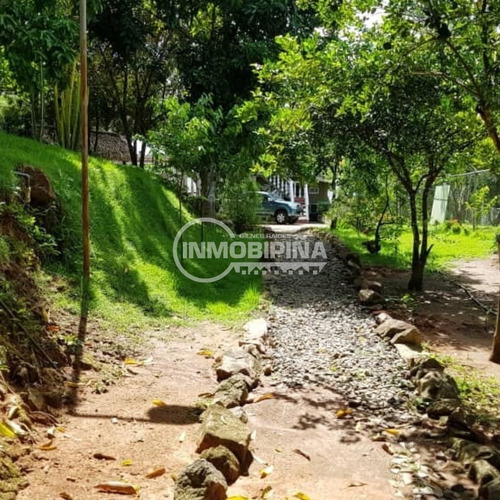 Imagen 12 de 15 de Finca En Venta Upata Estado Bolivar Lp
