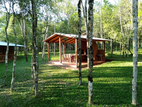 Imagen 2 de 7 de Lotes En Medio De La Selva Misionera